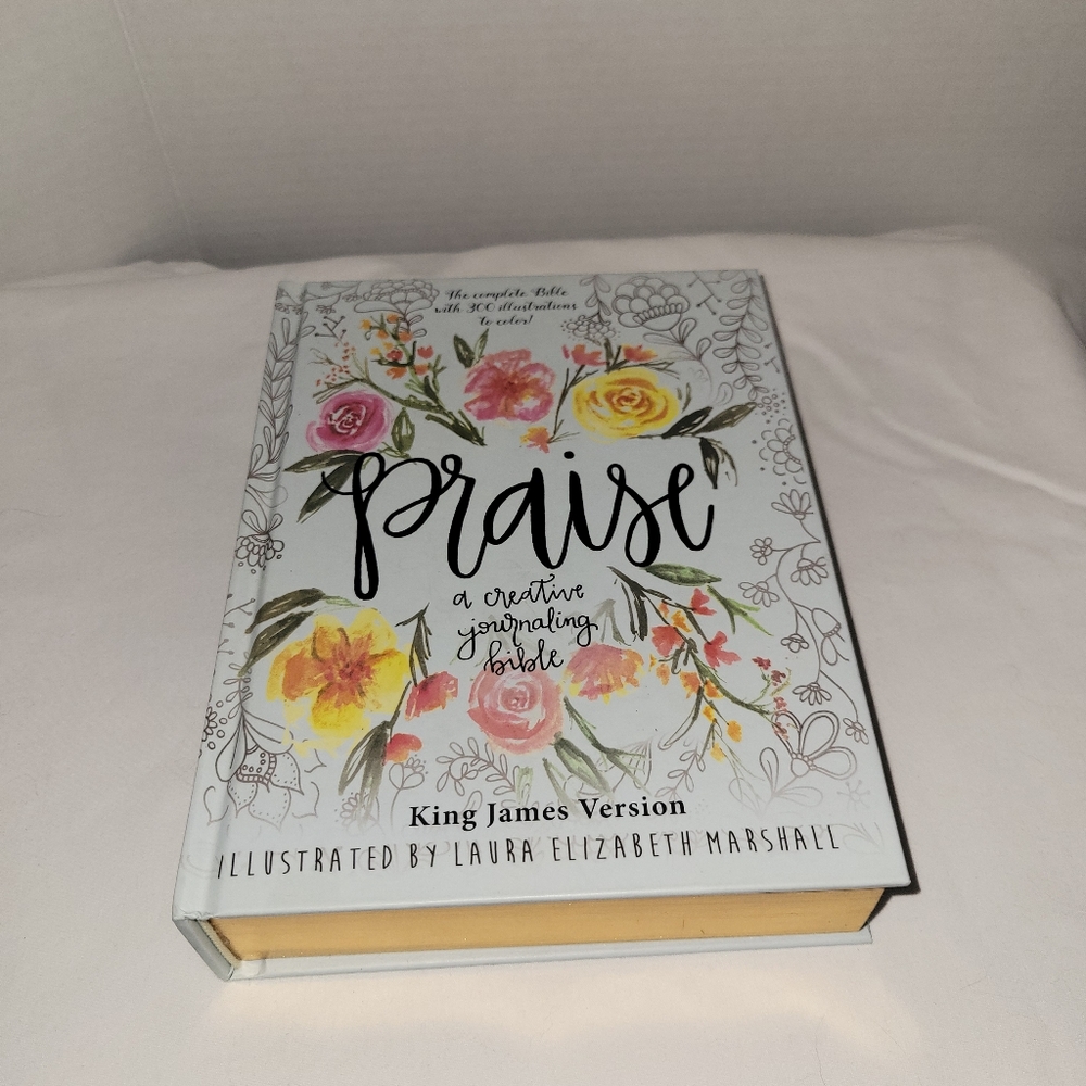 Praise: A Creative Journaling Bible - King James Version (Hardcover)